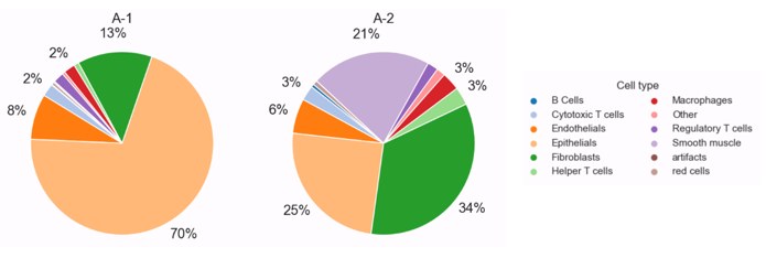 各 ROI 细胞表型比例饼图